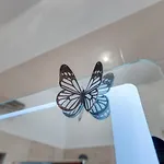 Ljube * 풀라