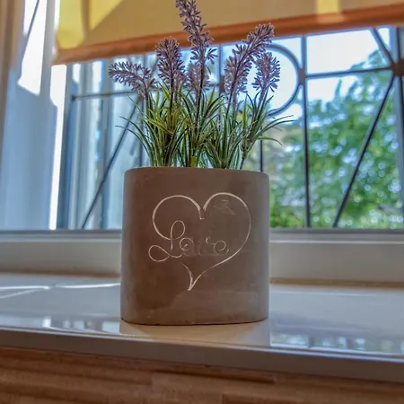 Apartament Ljube